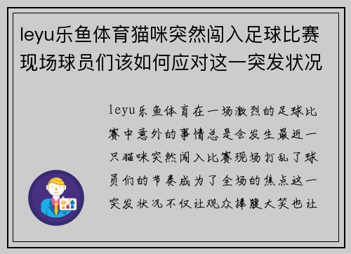 leyu乐鱼体育猫咪突然闯入足球比赛现场球员们该如何应对这一突发状况